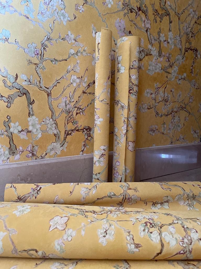 Papel Tapiz 561579583 18401605195190123 9169240182557745331 n